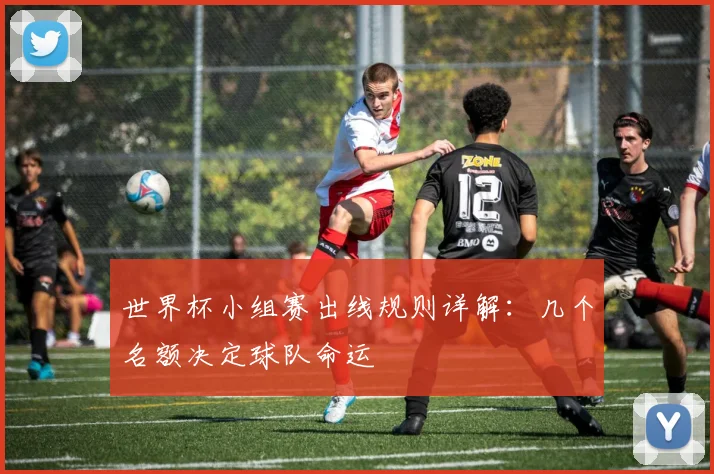 世界杯小组赛出线规则详解：几个名额决定球队命运