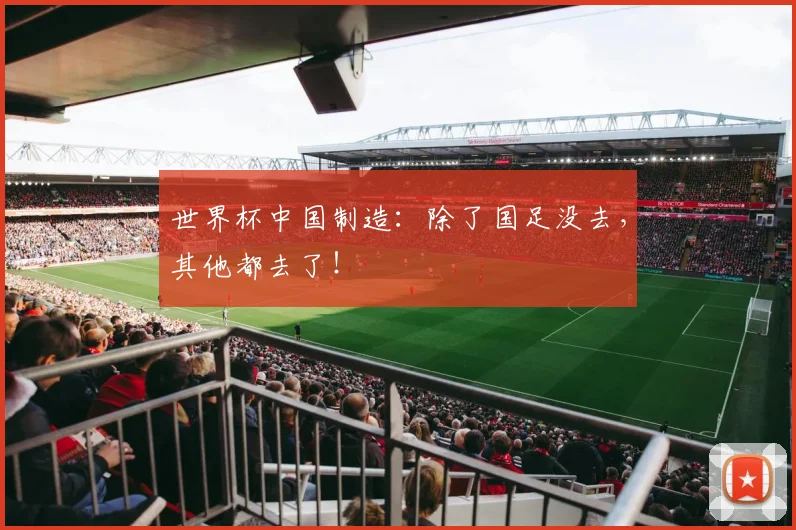 世界杯中国制造：除了国足没去，其他都去了！